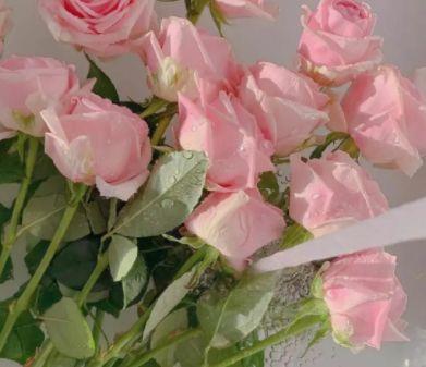 端午节搞笑祝福语