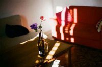 ​搞笑的短语句子