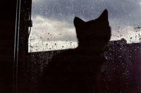 ​抖音经典文案搞笑大全(精选56句)