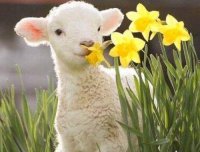 ​关于搞笑幽默的表白句子(55句)