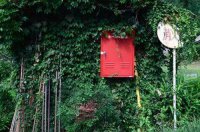 ​幽默搞笑损人句子