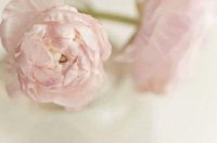 ​最简短的搞笑句子