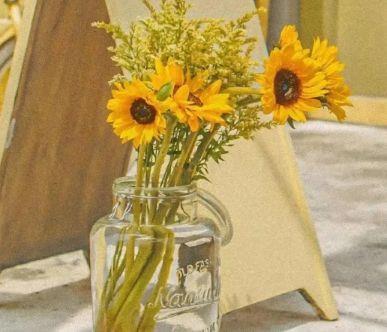 最简短的搞笑句子