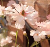 ​2025经典搞笑语句