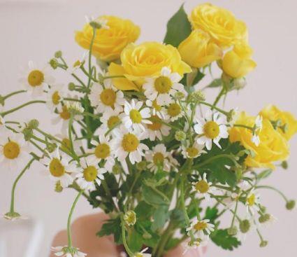 调侃搞笑句子大全