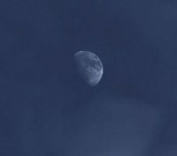 ​七夕情人节搞笑短语