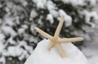 ​情人节单身狗发的搞笑说说 对撒狗粮的人说的话精选38句