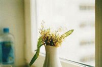 ​损友间搞笑的留言句子汇总36句