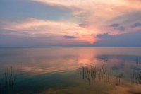 ​抖音七夕搞笑句子40句