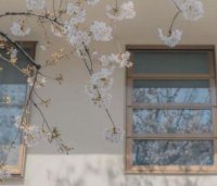 ​笑到肚子痛的搞笑句子