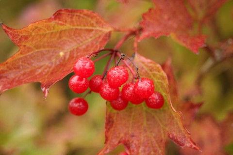 微信上很火的段子句子 一句话的精辟搞笑段子