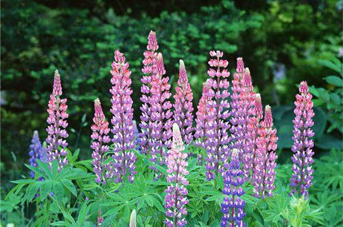 经典搞笑幽默句子集锦