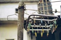 ​最新搞笑句子说说个性签名