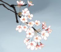 ​微信拍一拍可爱搞笑后缀(精选55句)