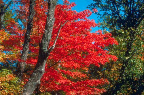 空间留言搞笑句子