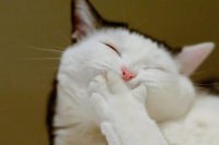 ​开学的搞笑句子