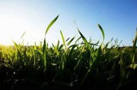 ​微信拍一拍恶搞文案 微信拍一拍搞笑文案(精选43句)