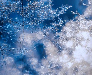 特别开心搞笑的句子