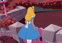 ​幽默相亲之非诚勿扰搞笑句子