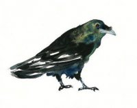 ​与非主流的搞笑经典语句