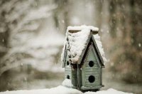 ​超冷思维,拿什么都能搞笑句子摘抄