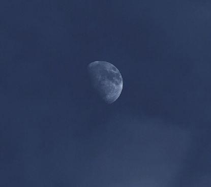 开心搞笑的关注句子 搞笑的句子让人笑喷