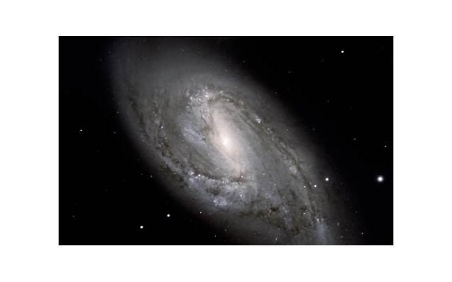  9岁儿子生日短句十字霸气汇集66句