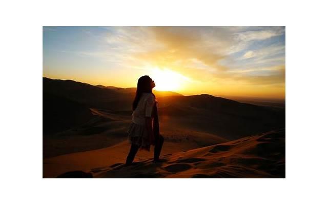 只要锄头挥得好（只要锄头挥得好下一句是什么）