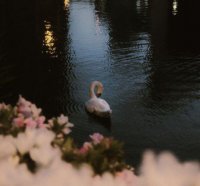 ​开心过自己的生活句子说说心情