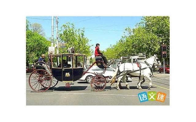 描写露珠的句子