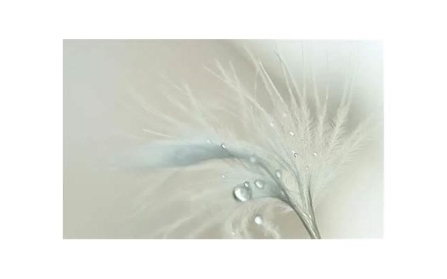 女生撩男生的高级土味情话2025