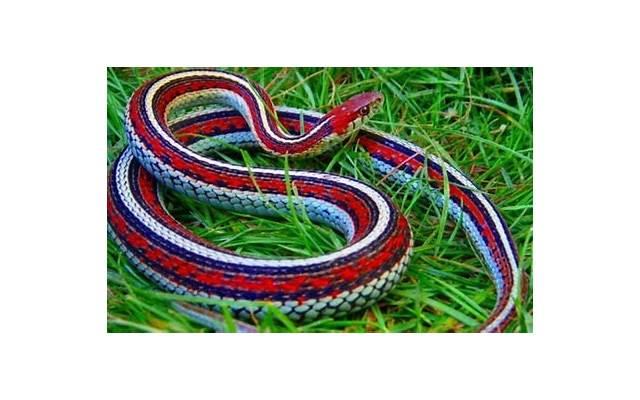 金融方面的人生格言[今日刚表白符合的情话]