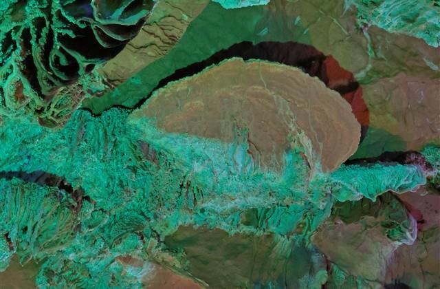 感受桂花芬芳时的心境美句（精选18句）