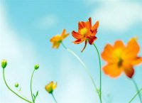 ​劫后余生的唯美句子 劫后余生的感慨句子