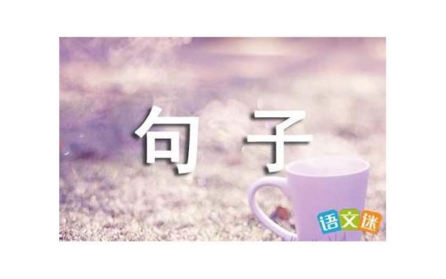 描绘亲情话题的句子（20字情人节情话最暖心短句）