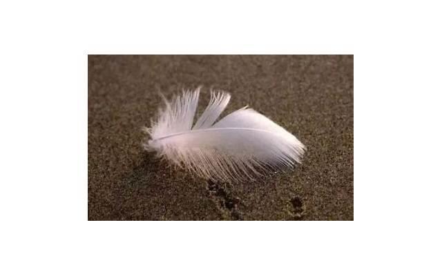 有关忙碌的经典语句(形容一天很忙碌的句子)