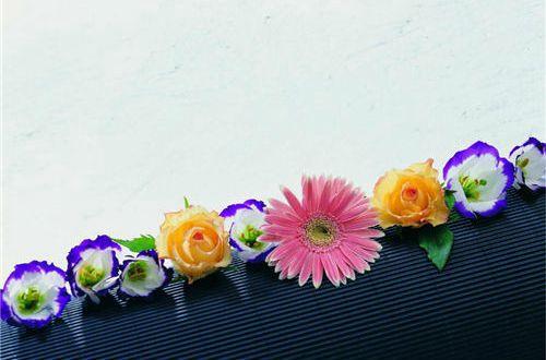 关于5分钟感悟人生的演讲稿