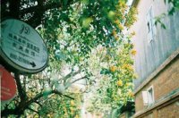 ​微信每日正能量语录