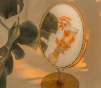 ​形容白玉兰花的优美句子(26句)