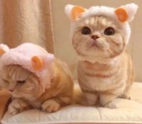 ​伤心文艺qq签名