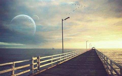 春天桃花的优美句子