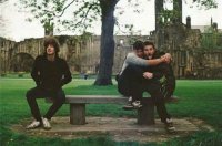 ​春天桃花的优美句子