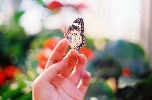 常用感悟人生语句摘录30条