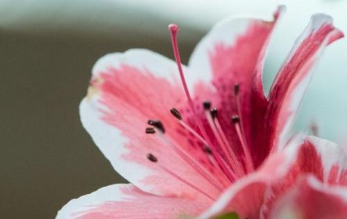 生活中的正能量语录