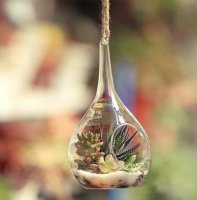 ​春节简短五字春联100副(精选100句)