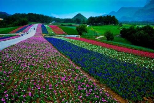 微信的个性签名句子(60句)