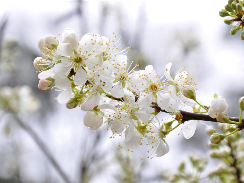 女人优雅有韵味的句子(30句)