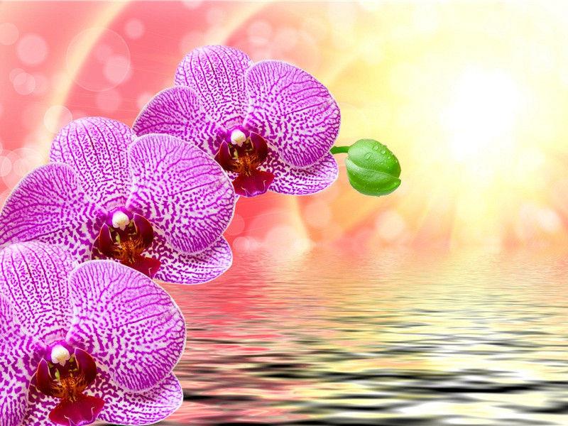 女人优雅有韵味的句子(30句)