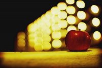 ​形容团队团结友爱的句子(精选41句)