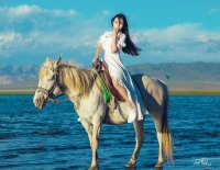 ​关于音乐唯美个性签名49句